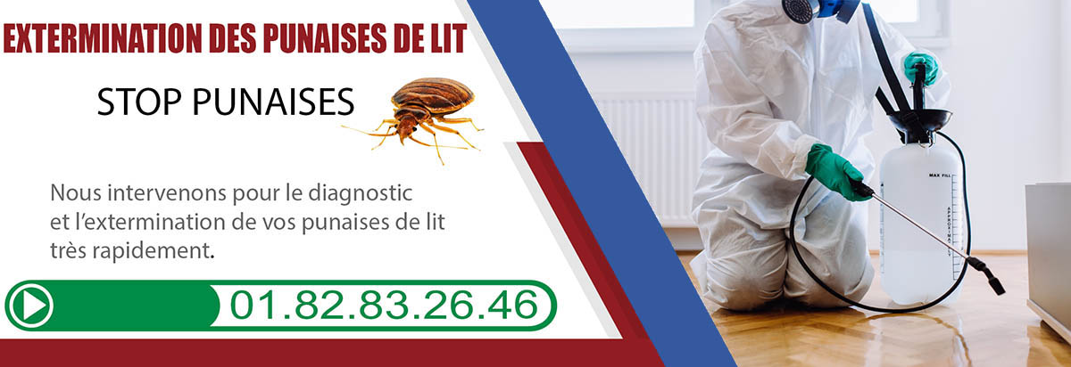 Punaises de Lit Le Bourget 93350